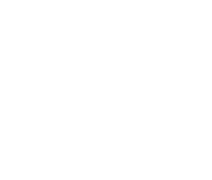Healthcare Icon