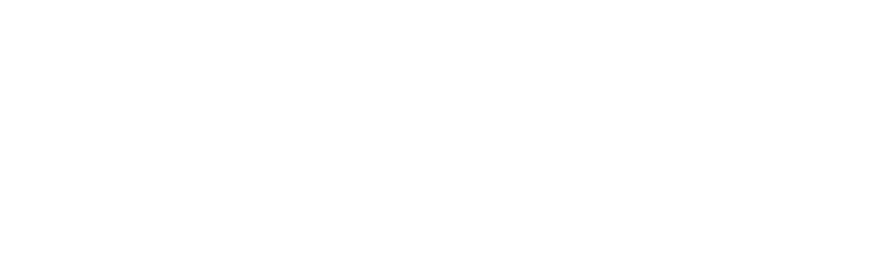 FireEye Logo