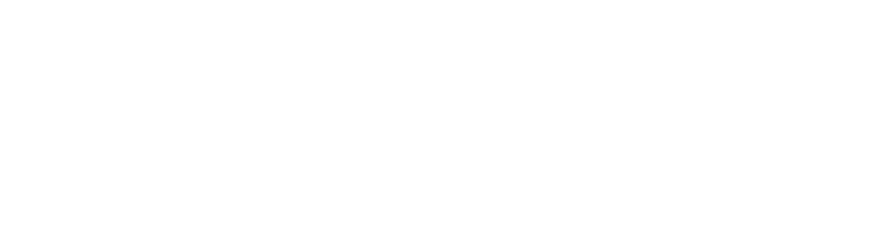Palo Alto Networks Logo