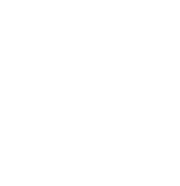 Professional Services Icon