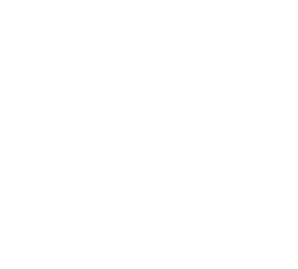 Security Icon